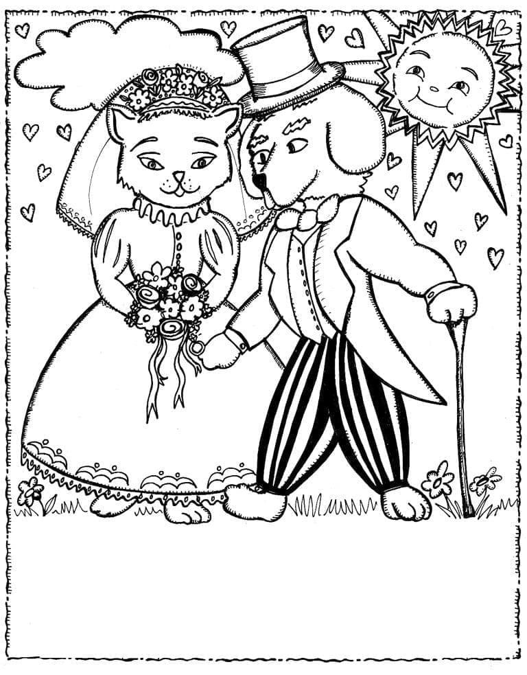 Hochzeit von Hund und Katze