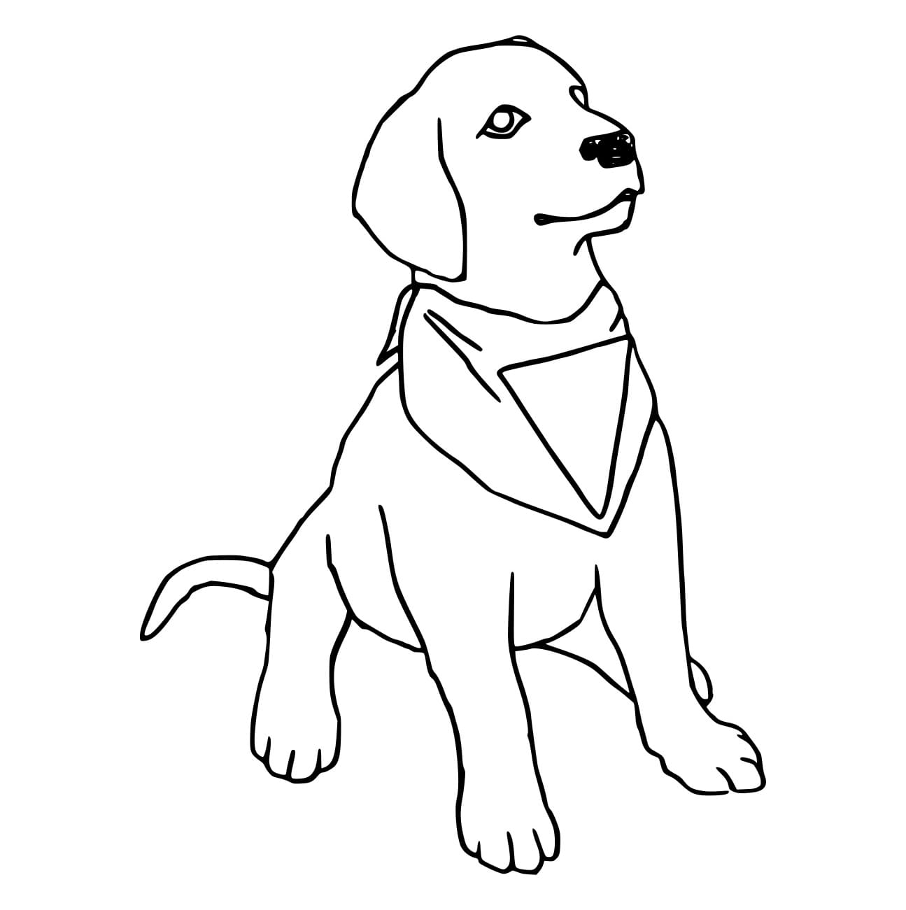 Labrador mit Serviette