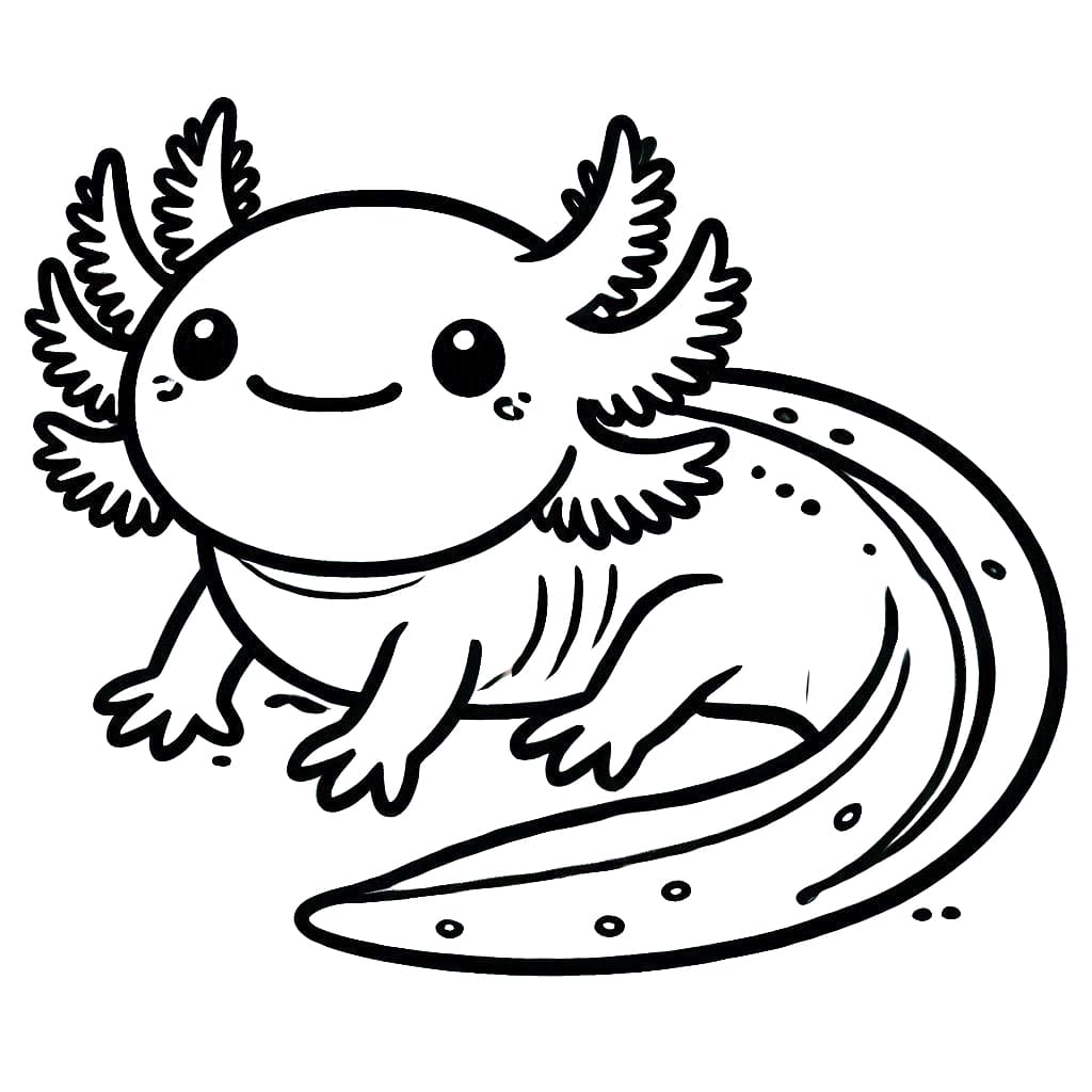 Netter Axolotl