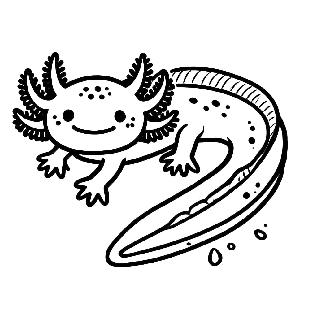 Schöner Axolotl