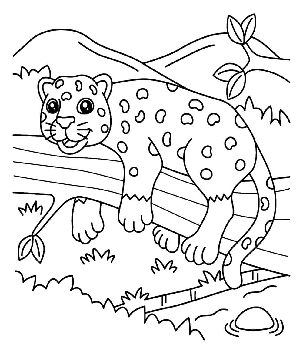 Jaguar für Kinder