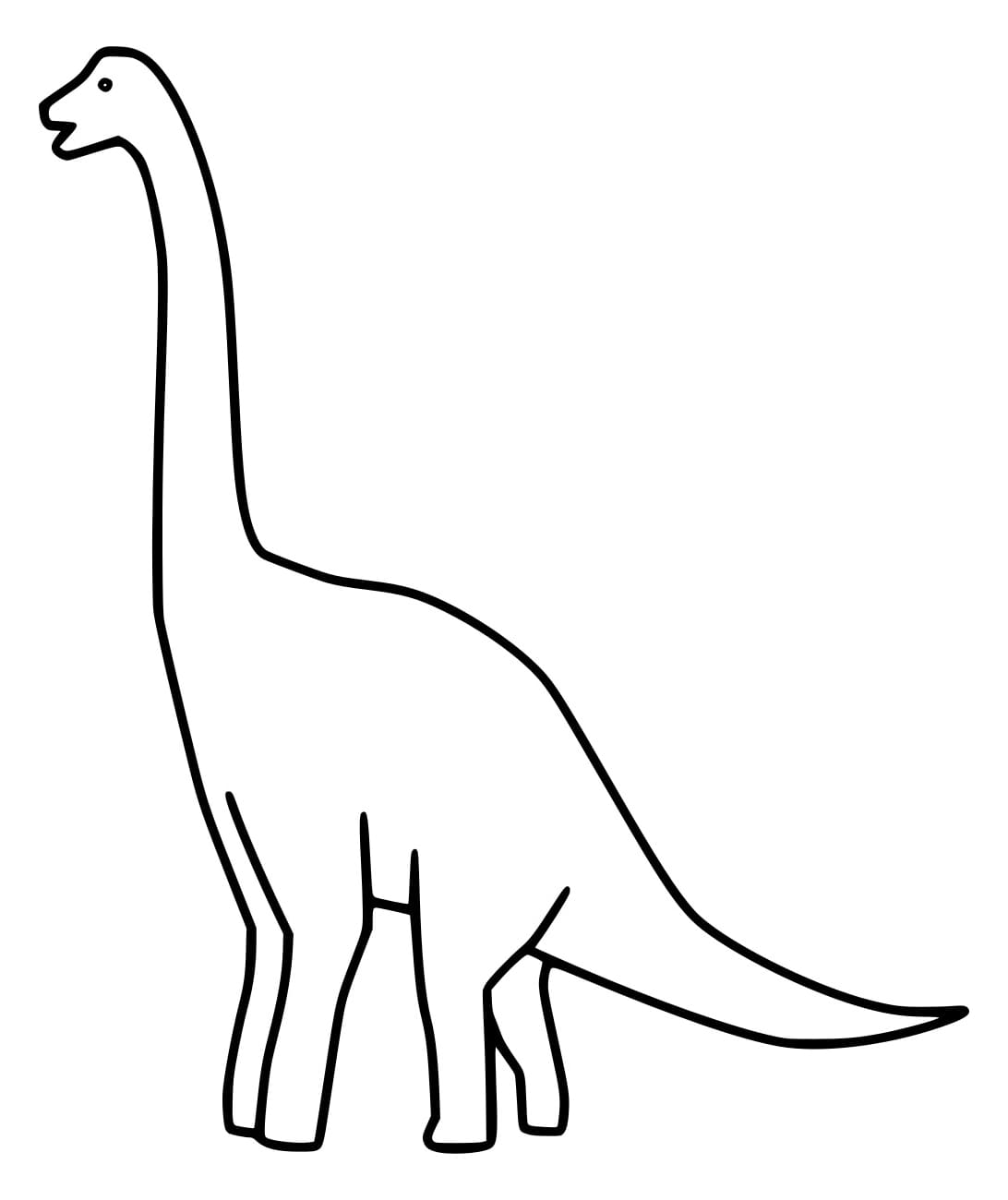 Einfache Gliederung des Brachiosaurus