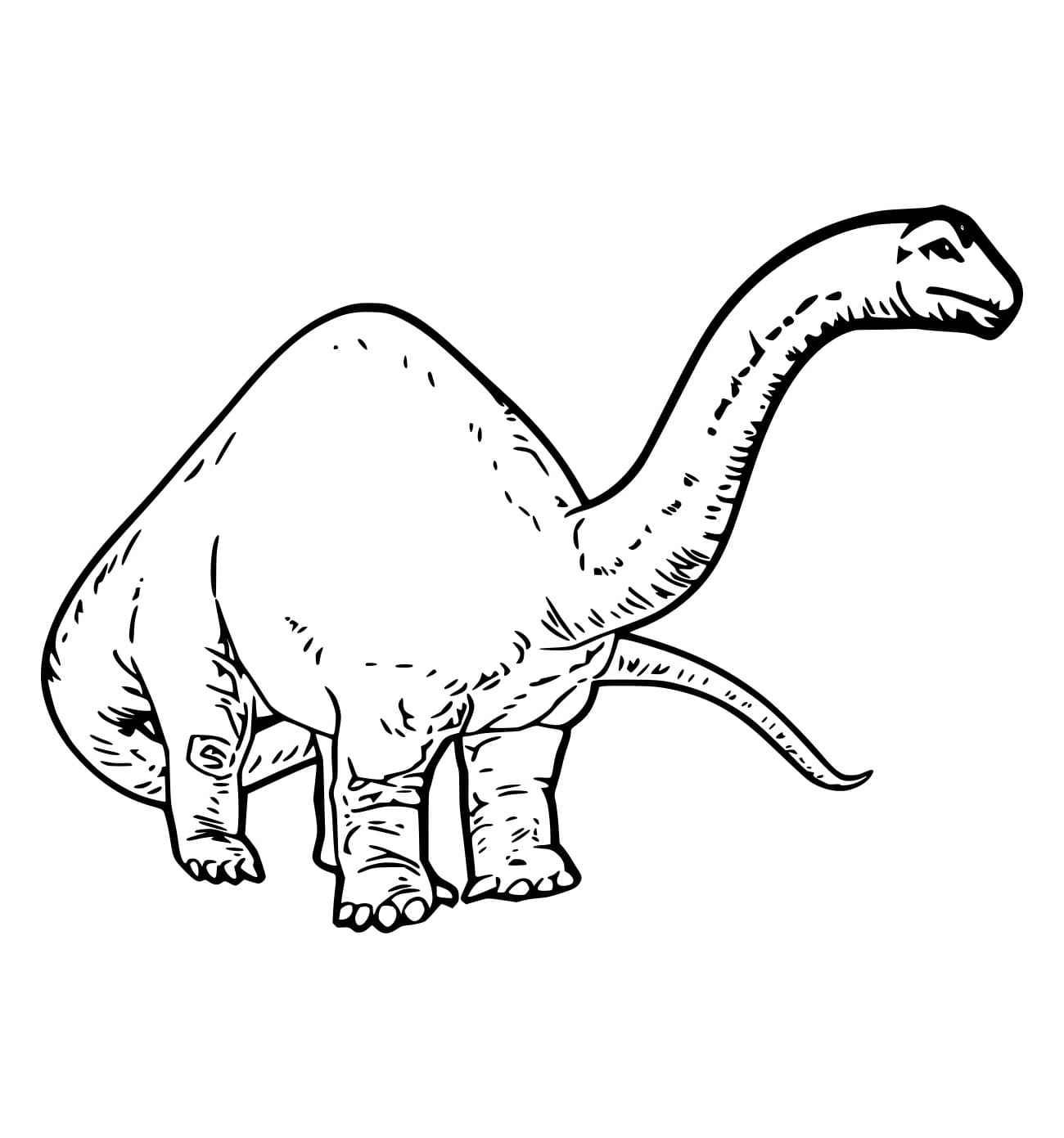 Einfacher realistischer Brachiosaurus