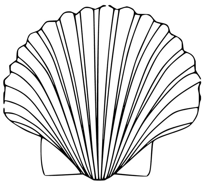 Ausdruckbar Muscheln
