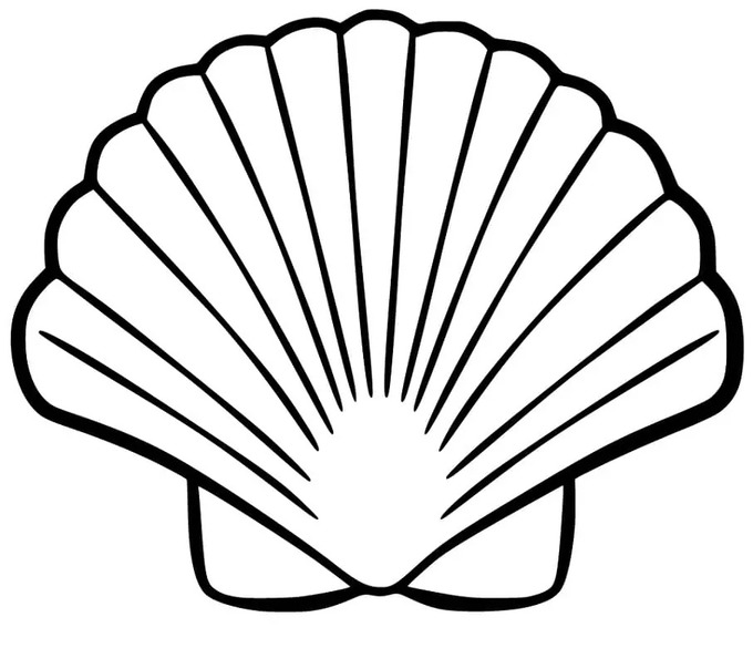 Druckbare Zeichnung von Muscheln