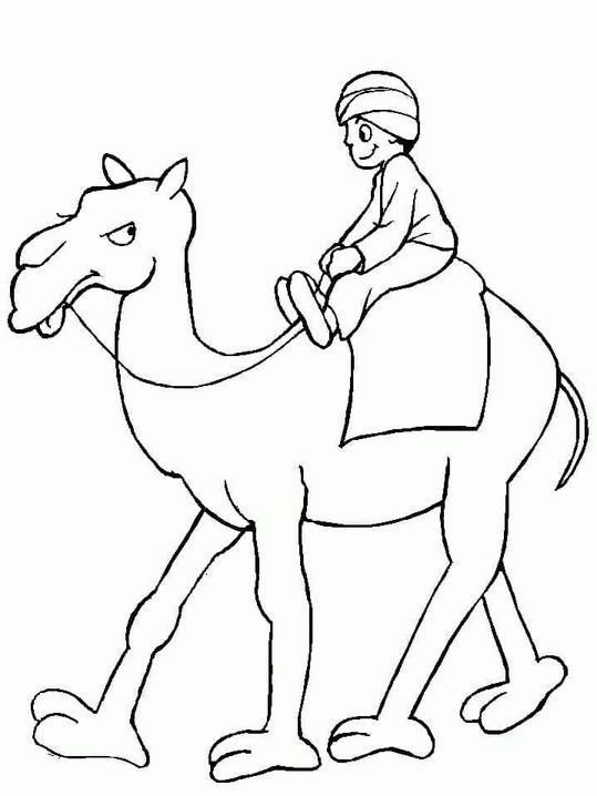 Kamele bild zeichnen