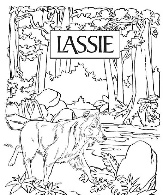 Lassie kostenlos ausdrucken