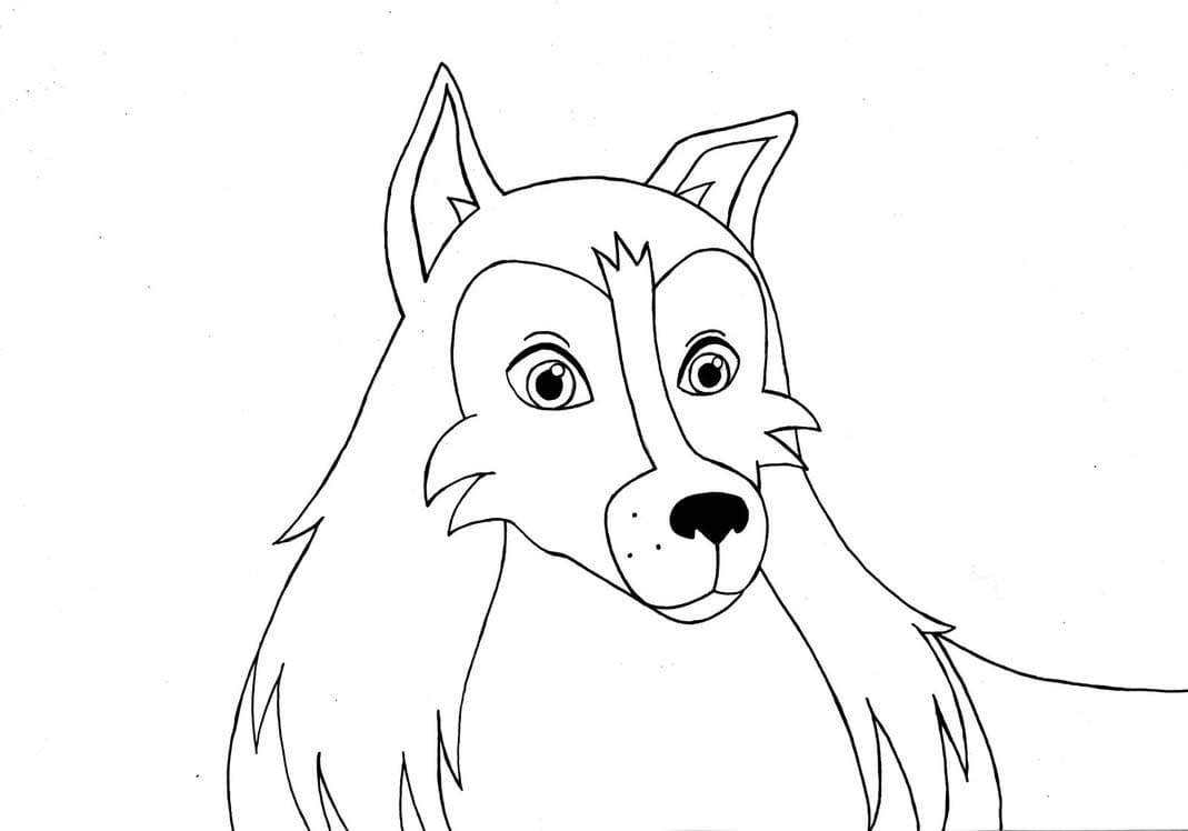 Lassie zeichnen kostenlos ausdrucken