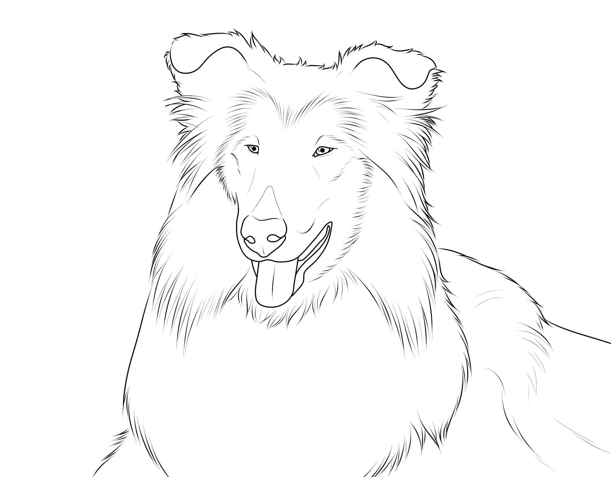 Lassie zum Ausdrucken