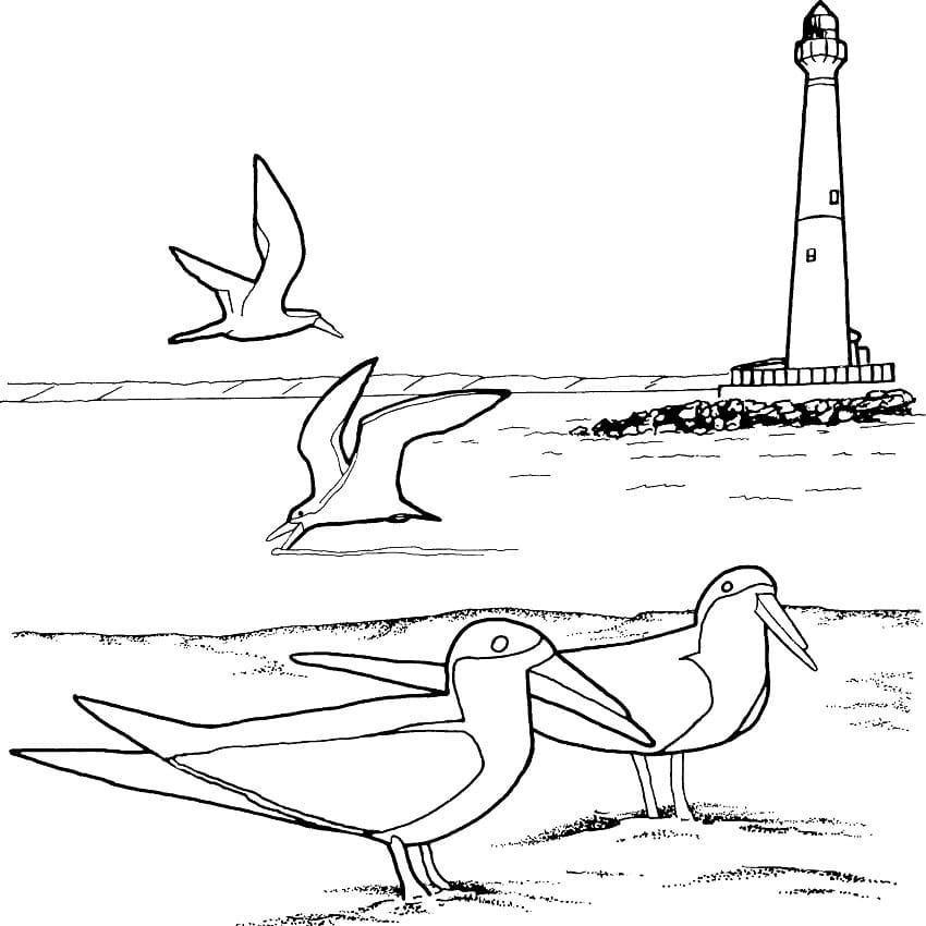 Leuchtturm und Möwen