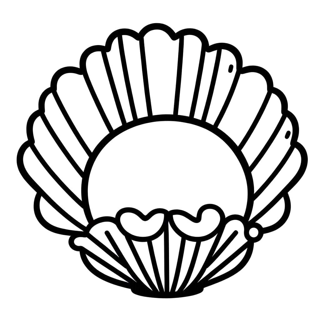 Muscheln 1