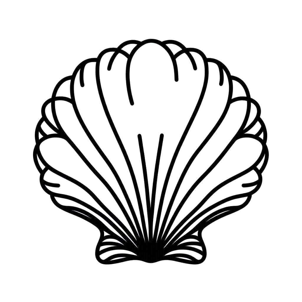 Muscheln 2