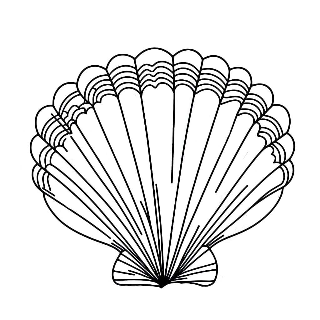 Muscheln 4