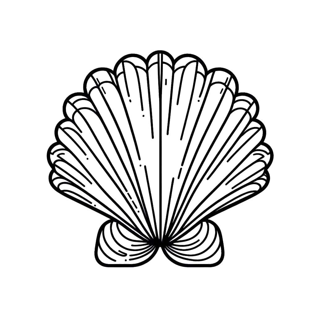 Muscheln 5