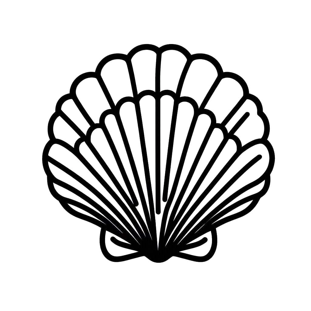 Muscheln 6