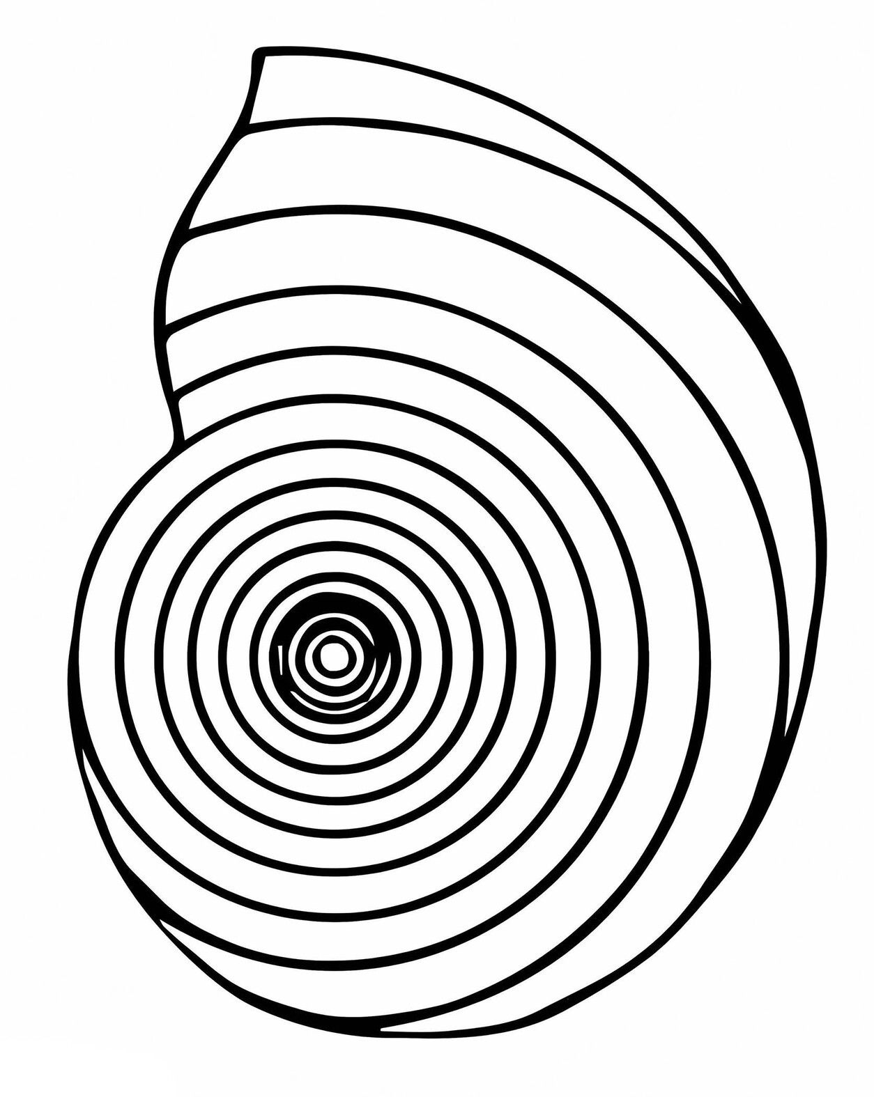 Muscheln für Kinder zeichnen