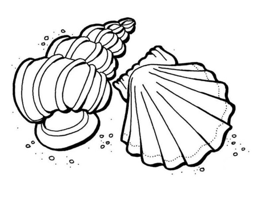 Muscheln kostenlos ausdruckbar
