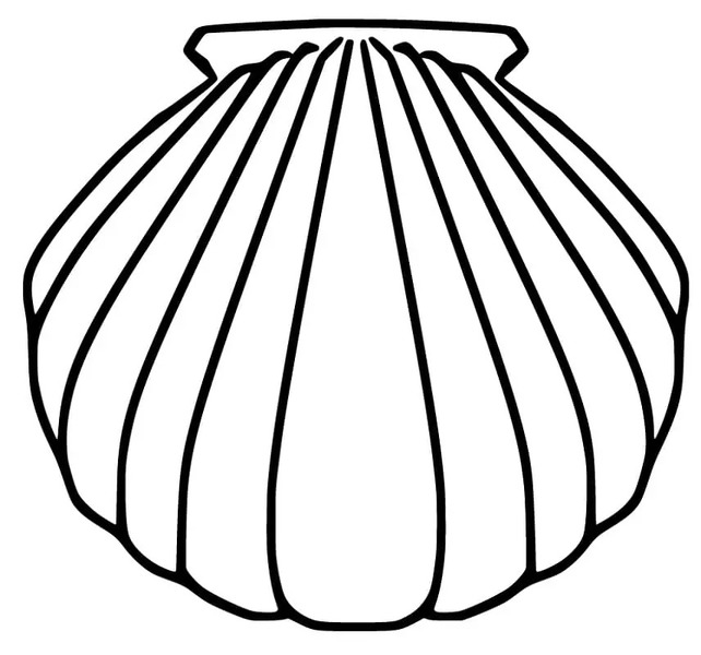 Muscheln kostenlos bei Kindern