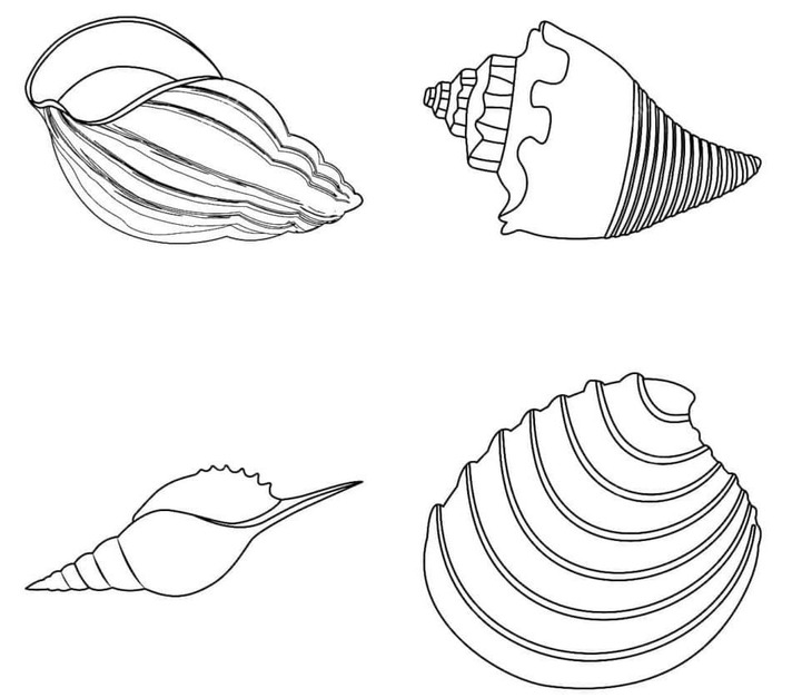 Muscheln kostenlos zum Ausdrucken