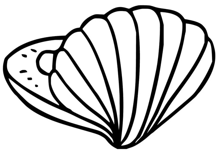 Muscheln zum Ausdrucken für Kinder zeichnen
