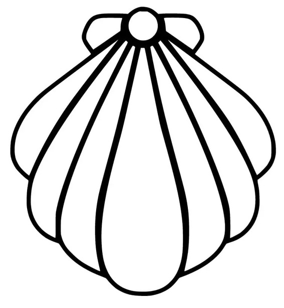 Muscheln zum Ausdrucken zeichnen