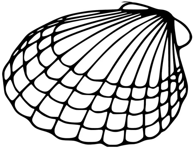 Muscheln zum Ausdrucken