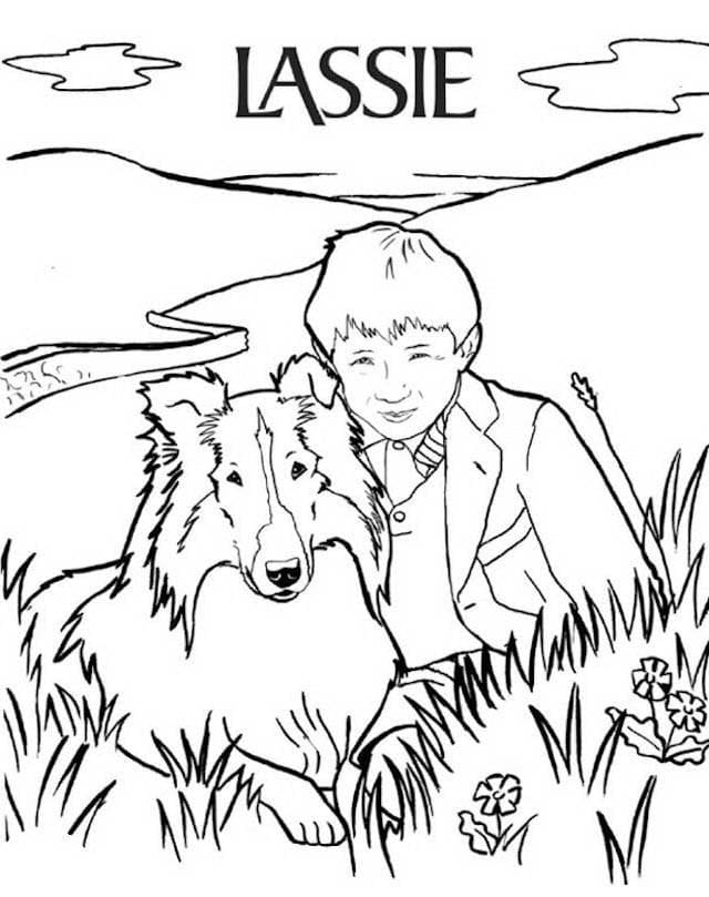 Zeichne Lassie 2