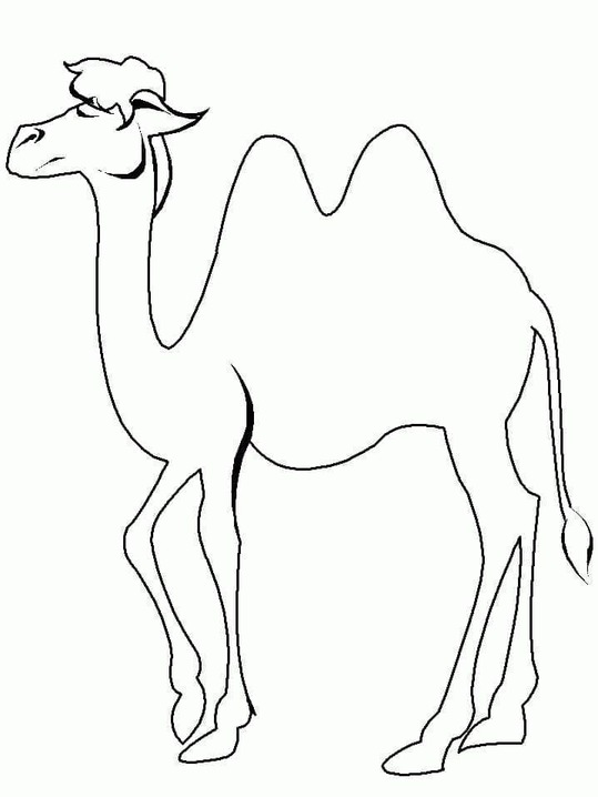 Zeichnen Kamele zum Ausdrucken