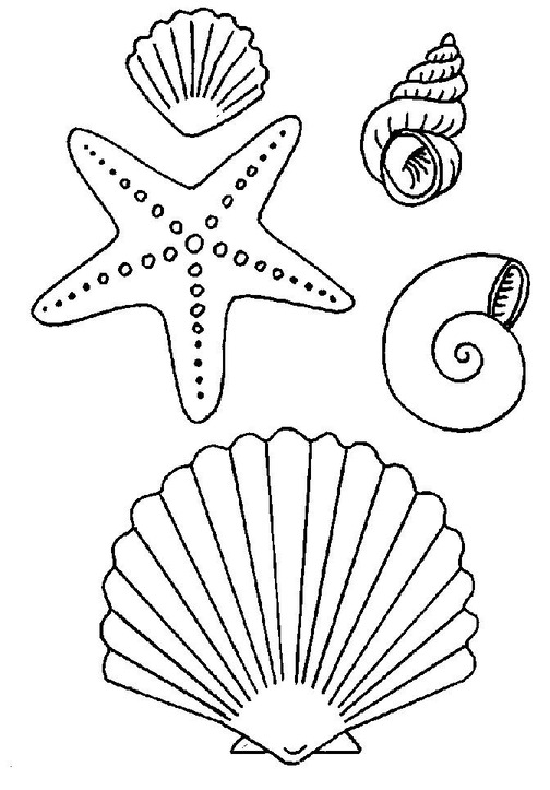 Zeichnen Muscheln einfach