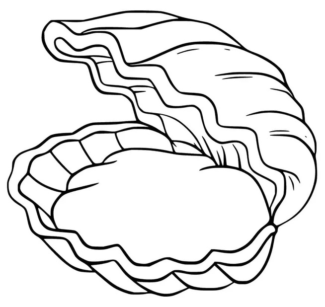 Zeichnen Sie Muscheln bei Kindern