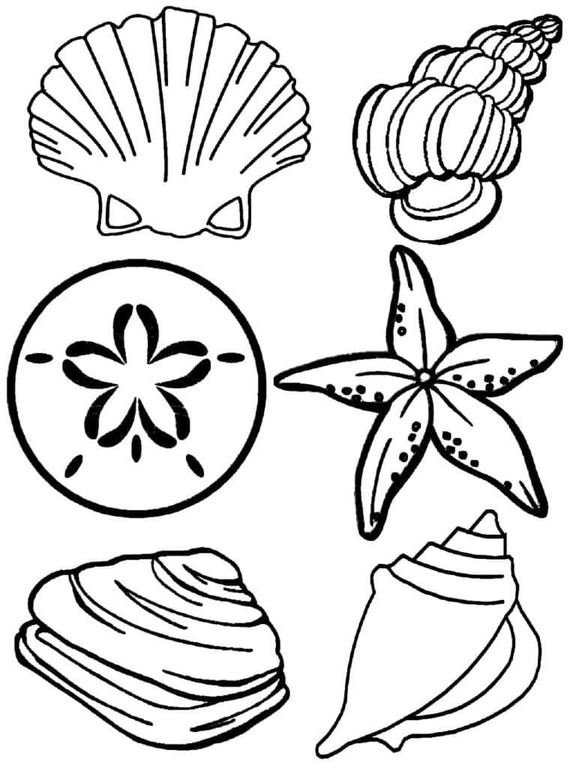 Zeichnen Sie Muscheln kostenlos
