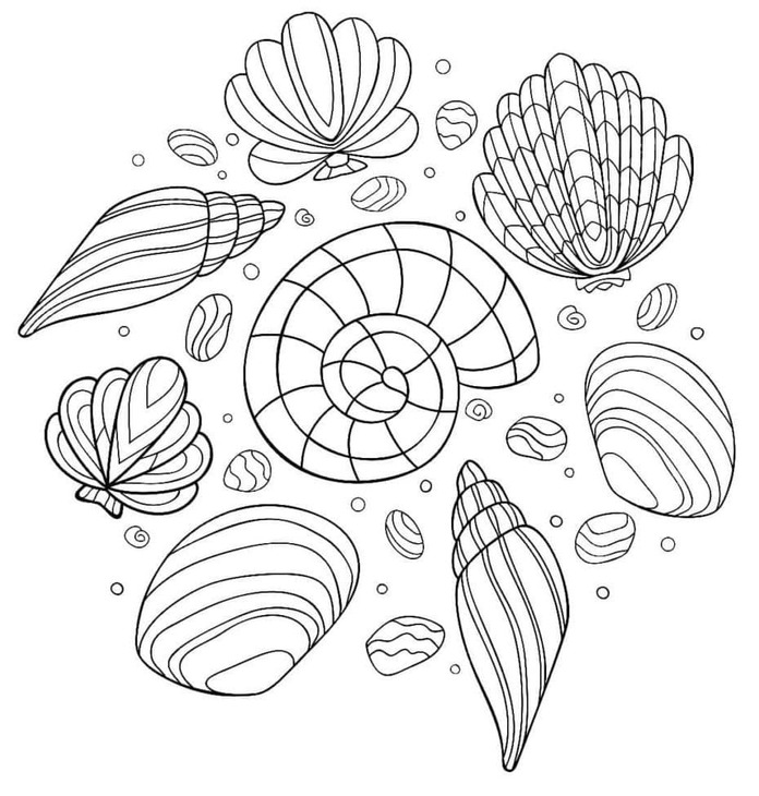 Muscheln
