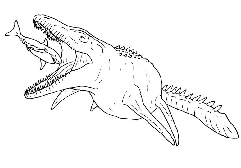 Bild Mosasaurus kostenlos druckbar
