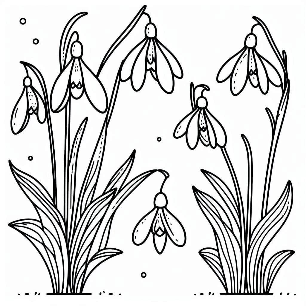 Bild Schneeglöckchen kostenlos