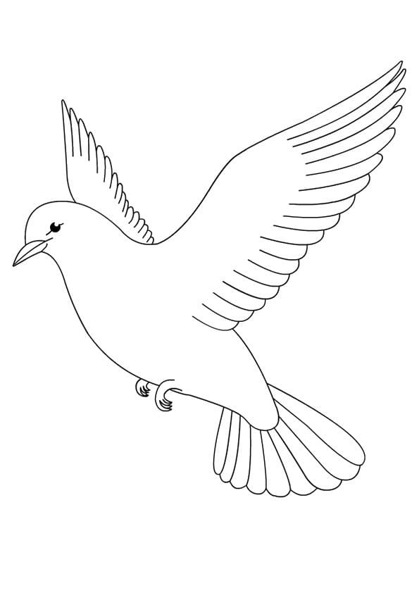 Eine Tauben fliegende