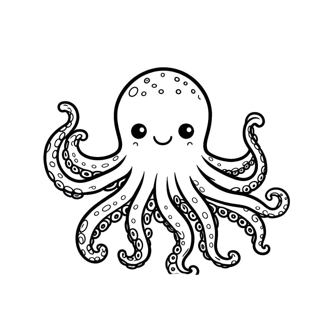 Oktopus 5