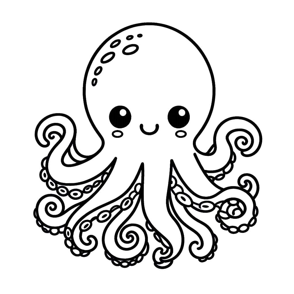Oktopus 6