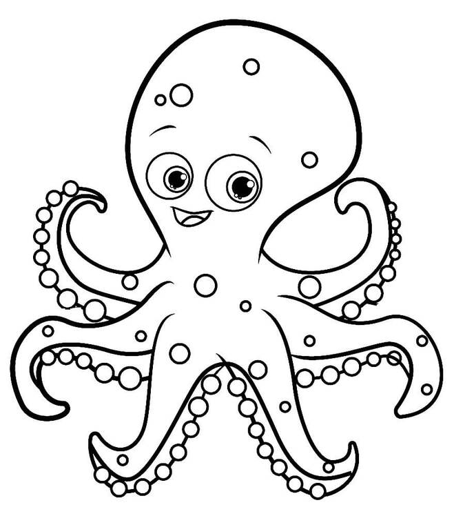 Oktopus zum Ausdrucken