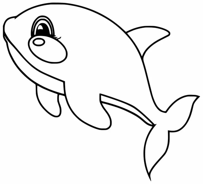 Orca zum Ausdrucken für Kinder