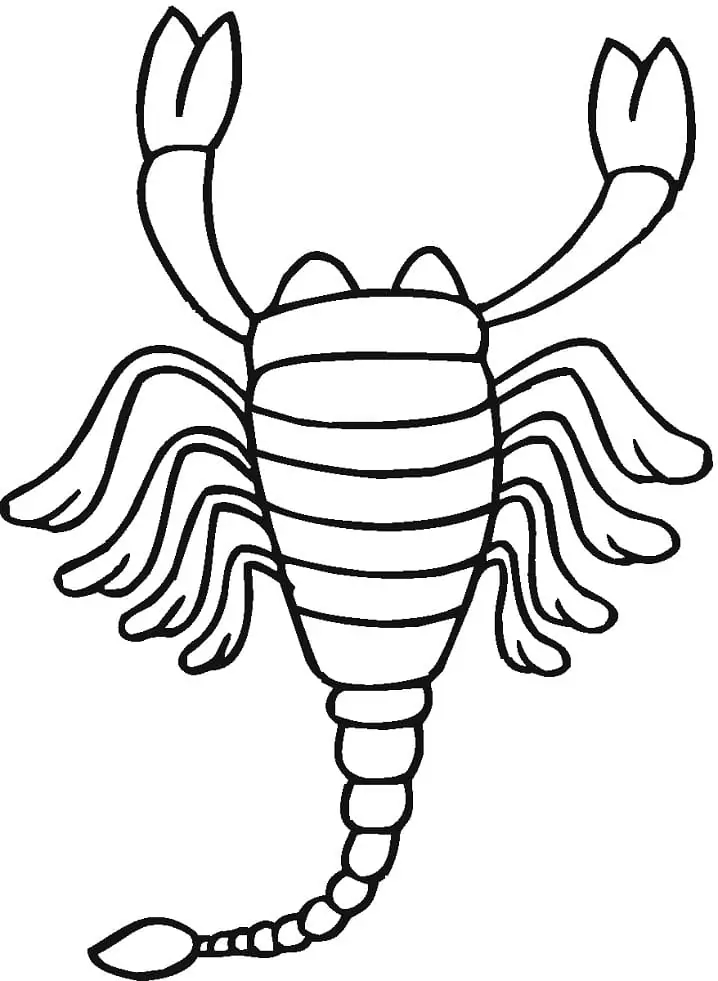 Skorpion basisch bei Kindern