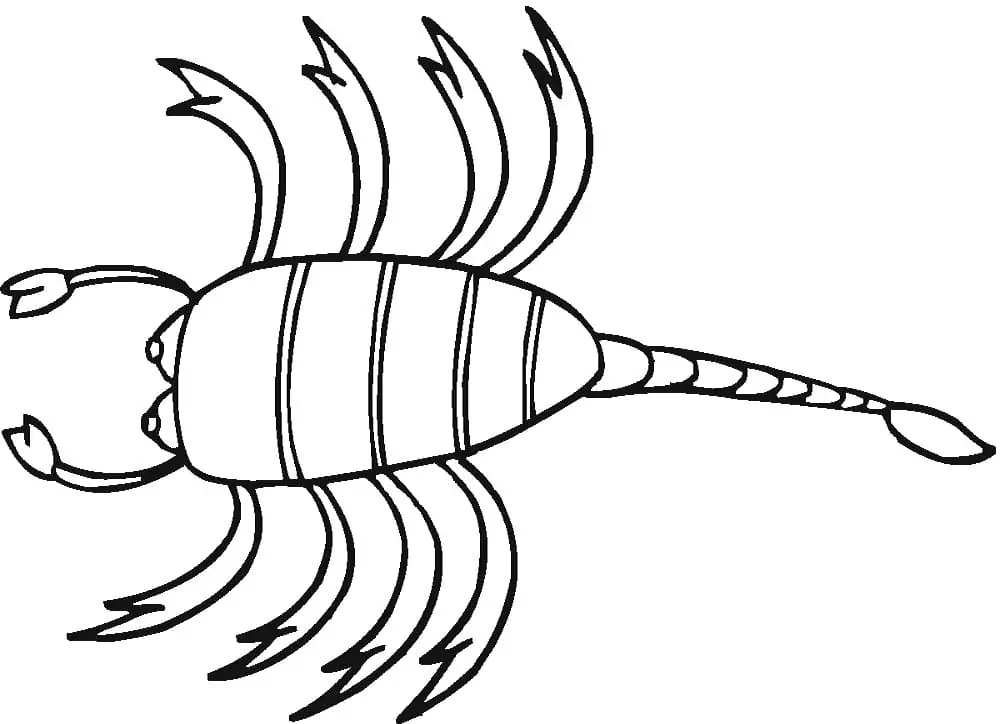 Skorpion einfach bei Kindern