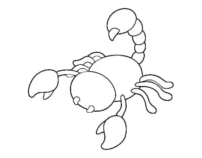 Skorpion für Kinder
