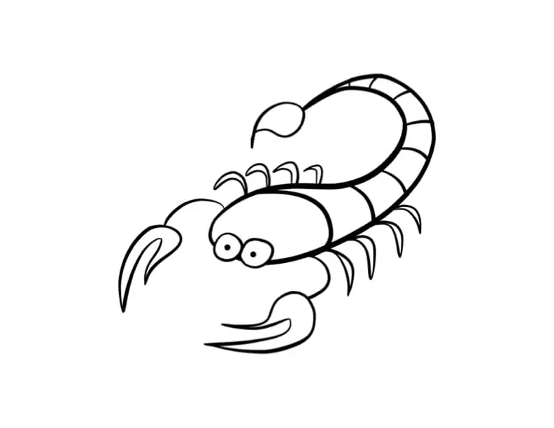 Skorpion zum Ausdrucken