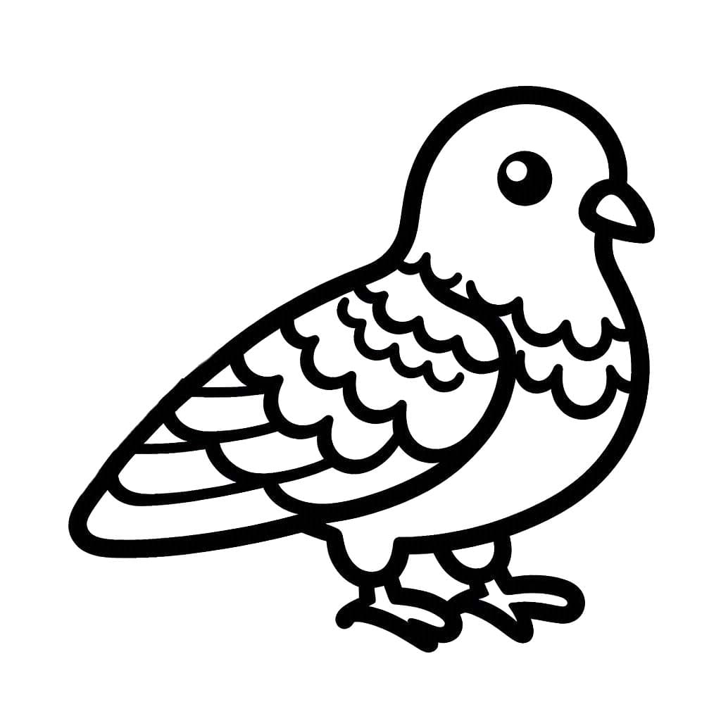 Tauben 2
