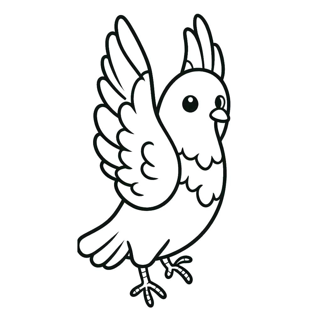 Tauben 3