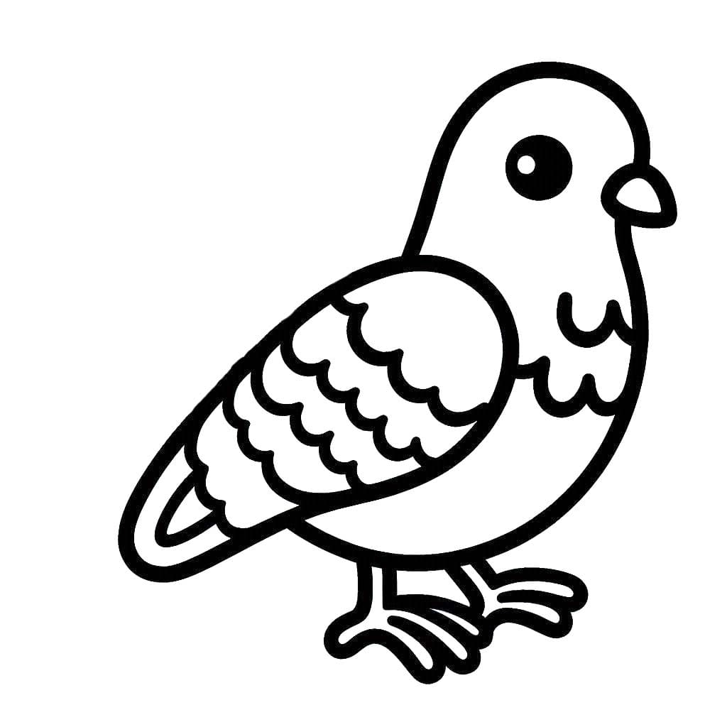 Tauben 4