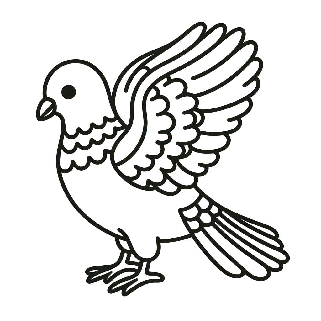 Tauben 5
