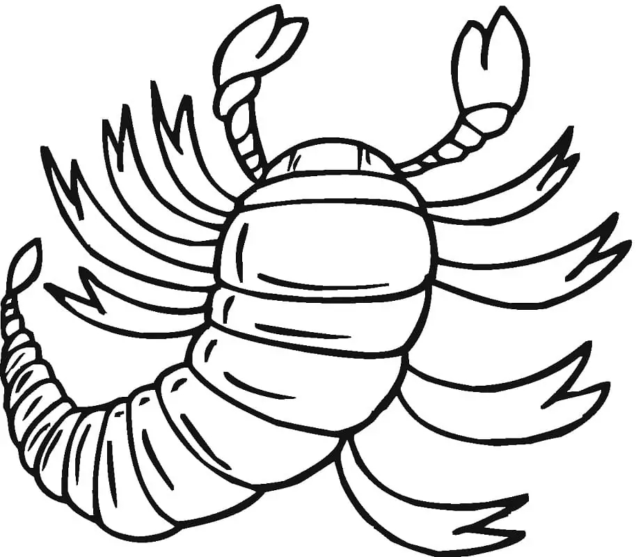 Zeichne Skorpion basisch bei Kindern