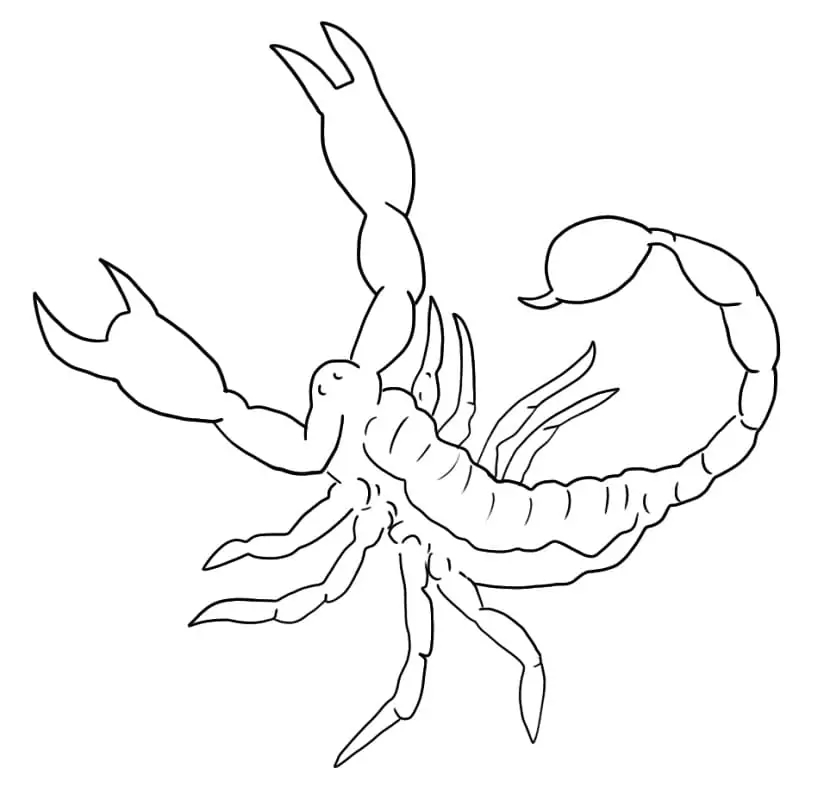 Zeichne Skorpion basisch
