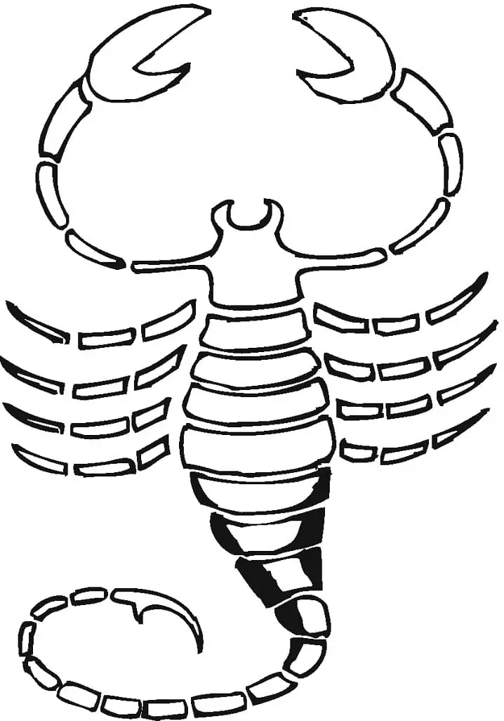 Zeichne Skorpion bei Kindern